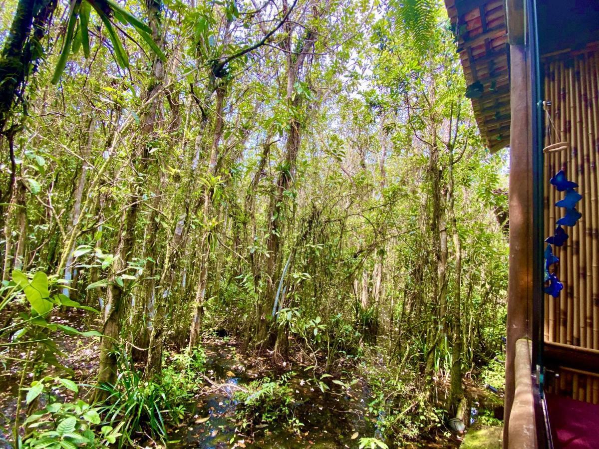 Maresias, Chale H29 Em Condominio De Frente A Entrada 18 Da Praia E Dentro Da Mata Atlantica 圣塞巴斯蒂安 外观 照片